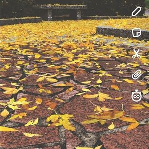 Meet your Posher, Khalid